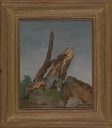 Étude de rochers et de branches